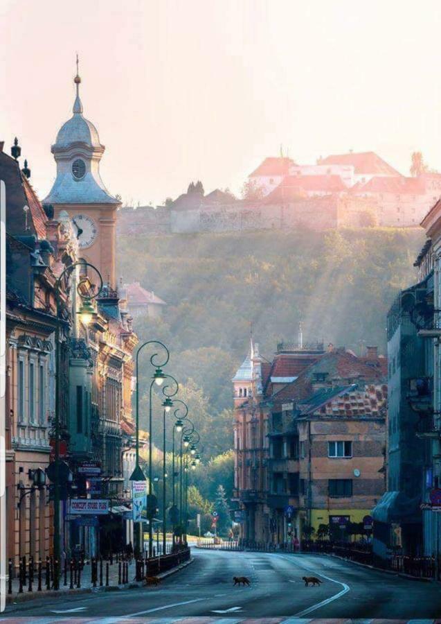 Strada Republicii Nr 26 Appartement Braşov Buitenkant foto